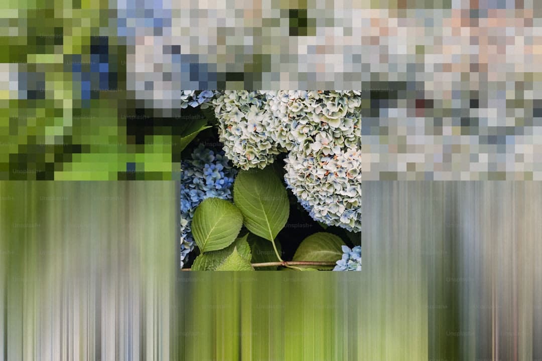 越南网友看中国九三阅兵，神评：看完觉得“九段线”具有法理依据